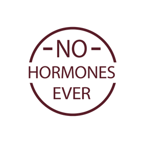 logo-banner-1