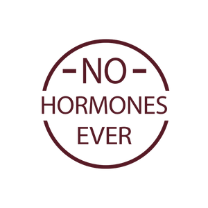 logo-banner-1