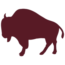 THE ANIMAL